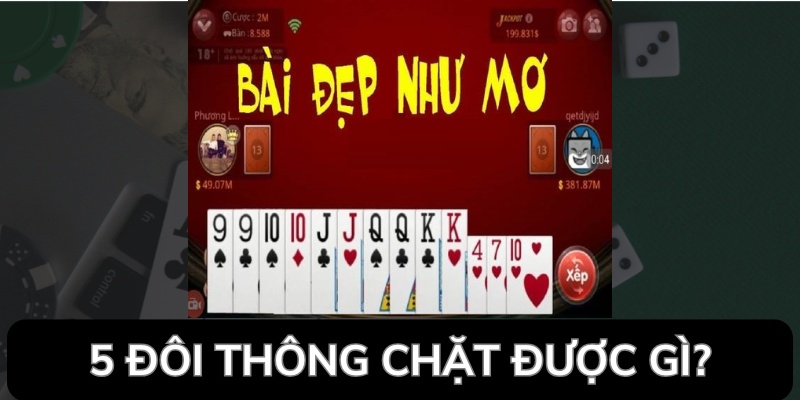 5 Đôi Thông Chặt Được Gì